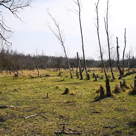 Prázdninový dům 10 Person In Dragor-by Traum Dragør